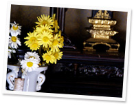仏壇にお花を供えるときの気をつける点は？
